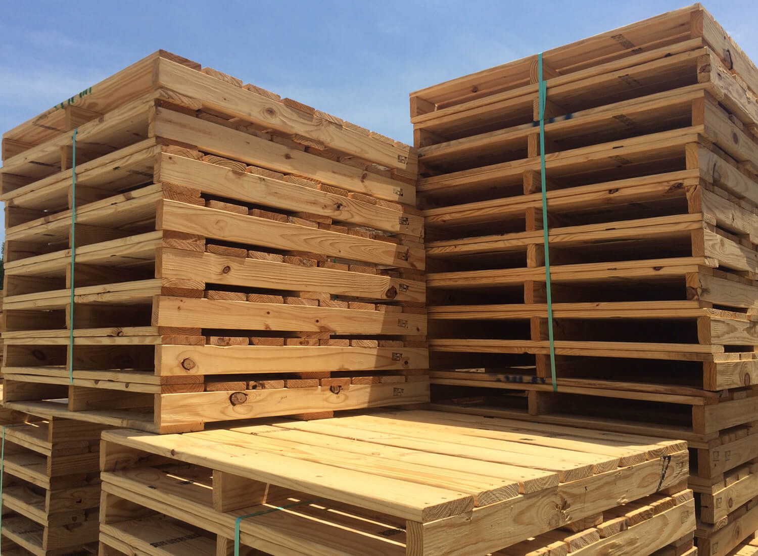Pallet Gỗ Cho Nghành Điện Tử